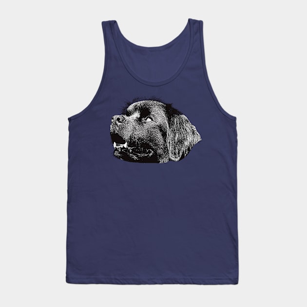 Newfoundland - Newfoundland Christmas Gifts Tank Top by DoggyStyles